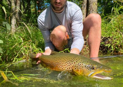 East Tennessee Big Brown Trout South Holston