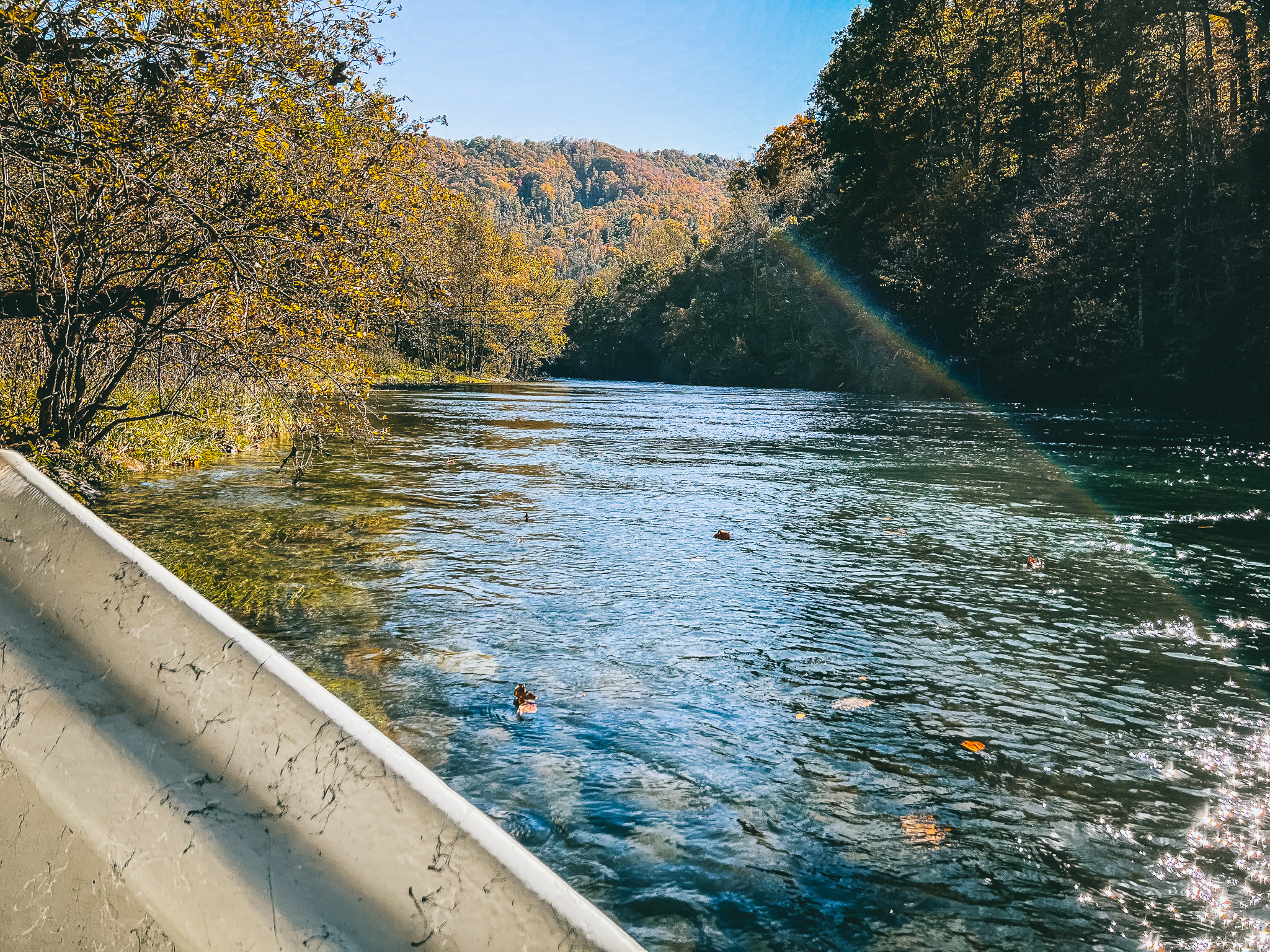 Watauga River Photo of the Watauga River in Elizabethton TN