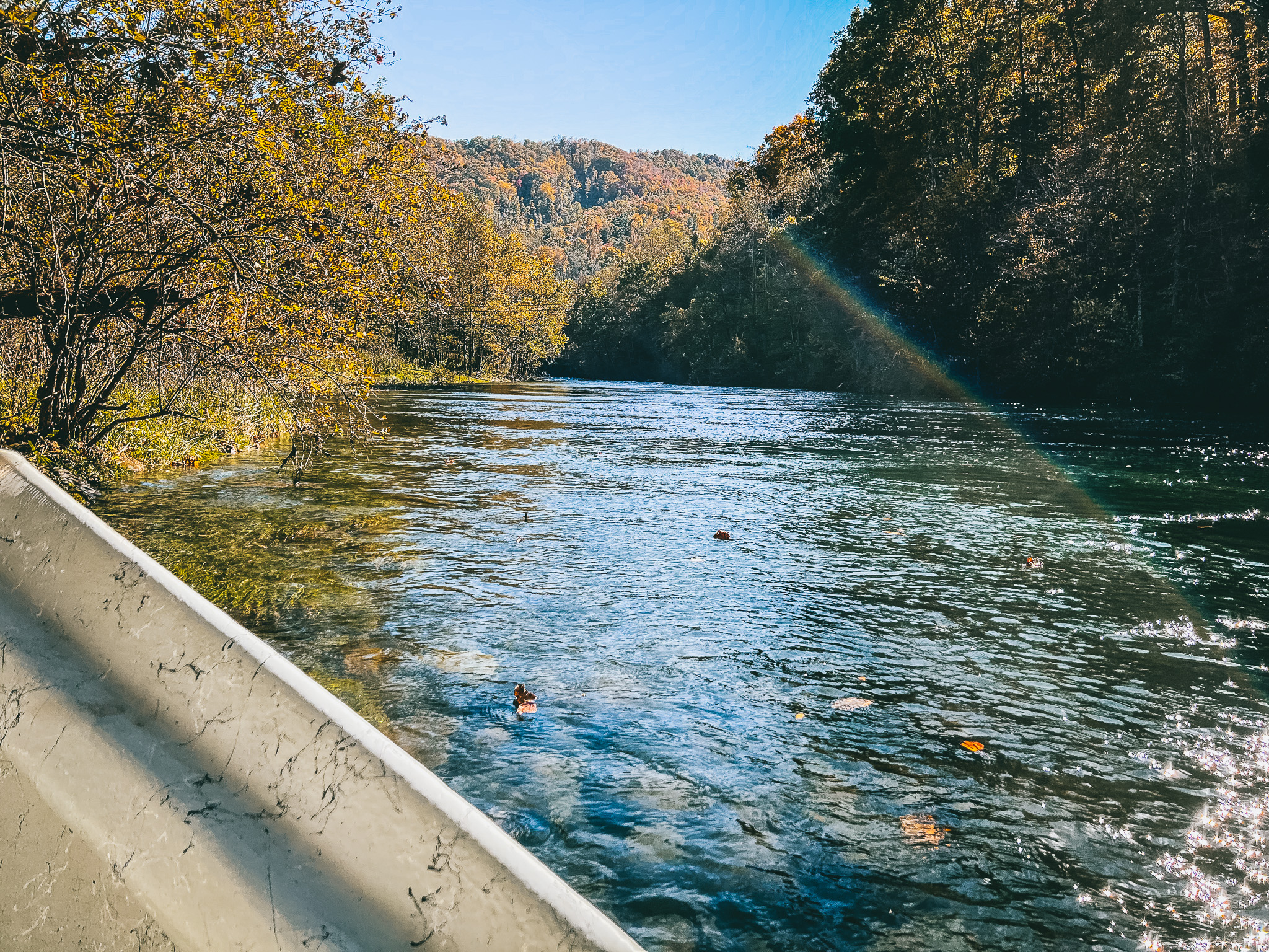 Photo of the Watauga River in Elizabethton TN